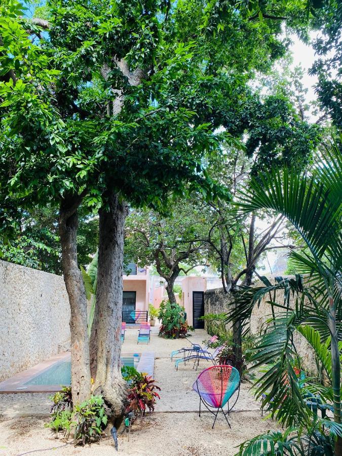 Hotelito Yum Kaax Mérida Exterior foto